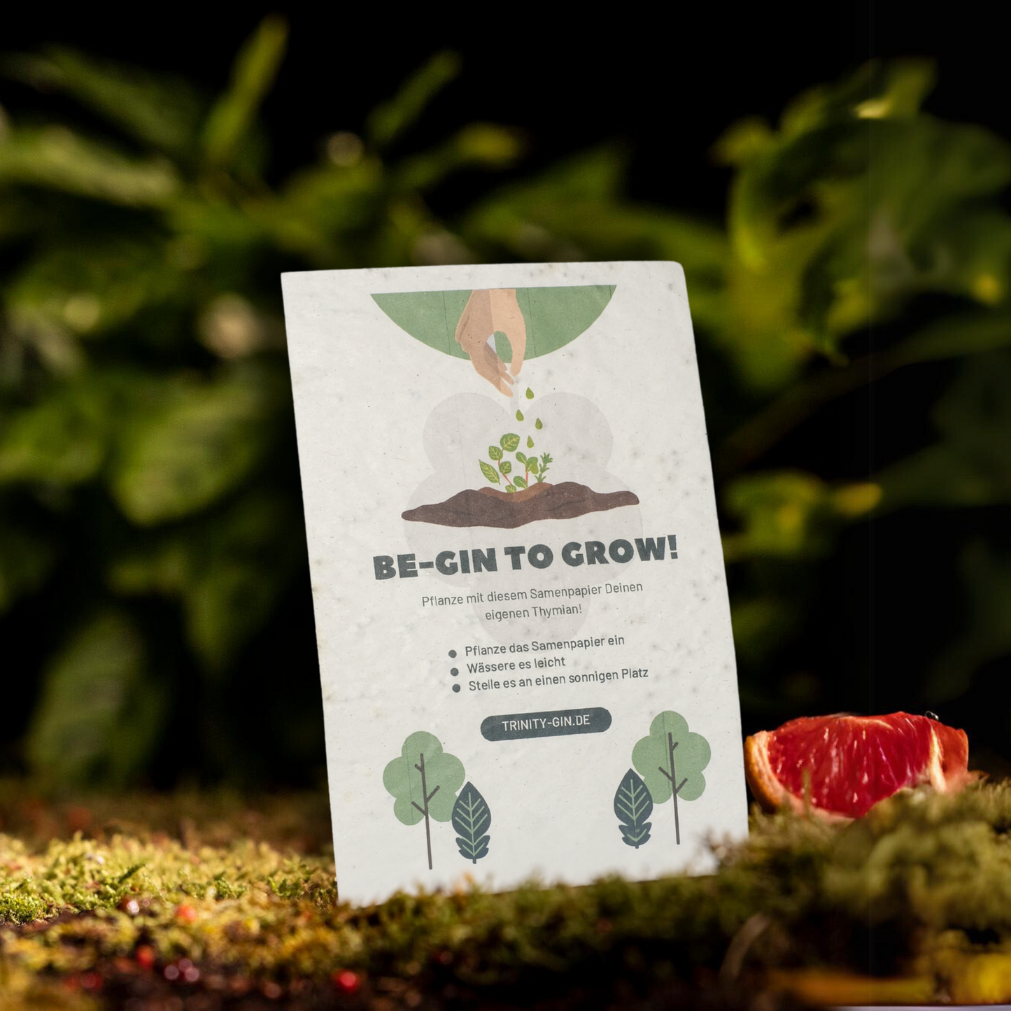 Trinity Thymian-Samenpapier